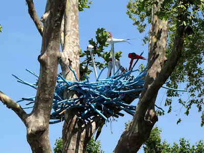 Cico cico on the trees, piazza Mazzini, Livotno