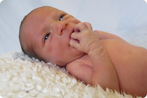 Nehemiah's Newborn Portraits