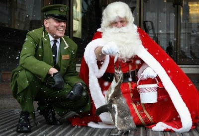 Noel a Harrods (Pic:Getty)