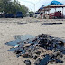 Limbah Minyak Mentah Cemari Pantai Lampung