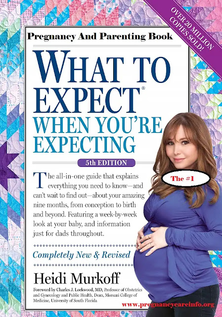 Pregnancy And Parenting Book