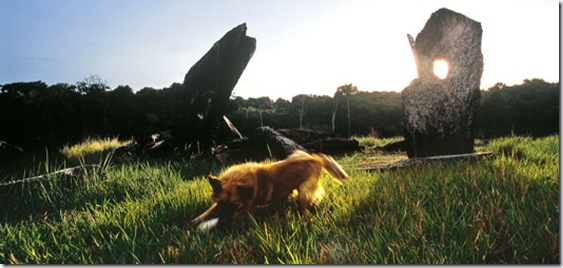 stonehenge-brasileiro-rego-grande