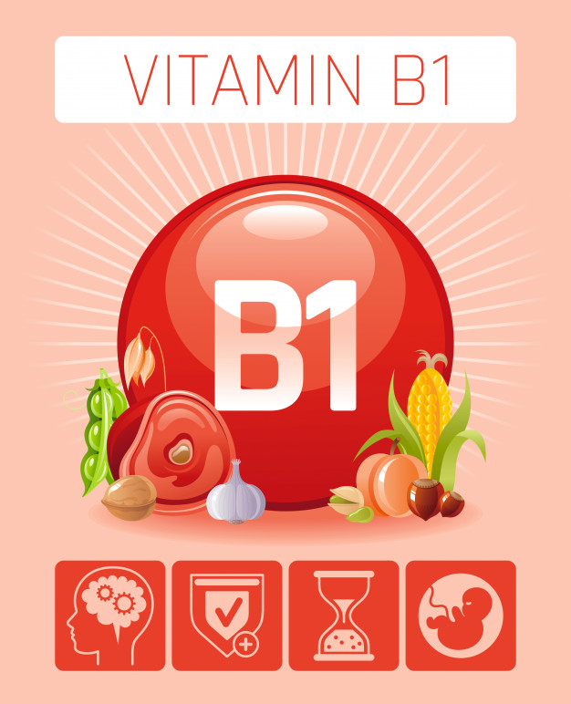 Vitamin B1 (Thiamine) - Learning Is Not Difficult At All!