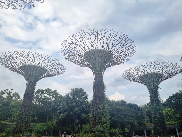 foto do Gardens by the Bay