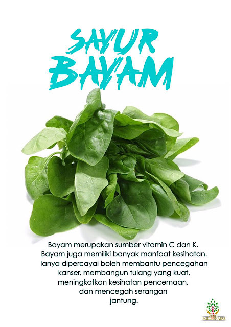 BAHAYA BAYAM