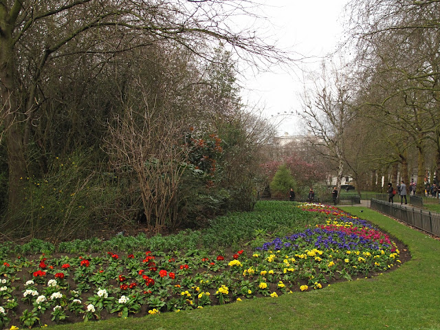 St. James's Park bursting into bloom.