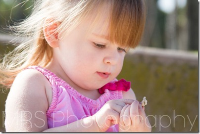 MRS Photography - Child-Children Portrait Photography - Coronado, CA - Glorietta Bay (4 of 8)