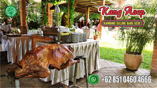 Kambing Guling Elegan Lembang,Kambing Guling Lembang,Kambing Guling Elegan,Kambing Guling,