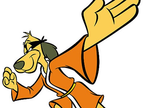 judo phooey