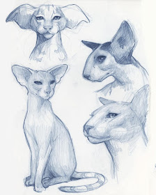 06-Cats-Drawing-Studies-Cara-Baxter-www-designstack-co