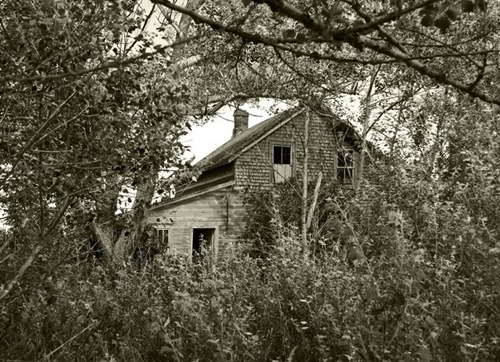 oldhouseinwoods