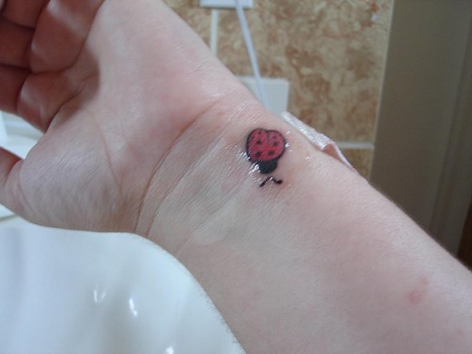 sssssssssss Ladybug Tattoos For Girls ssssssssssss