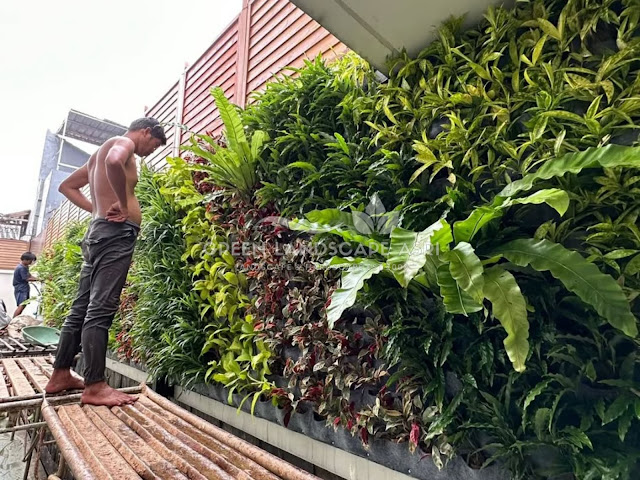 Tukang Vertical Garden Kepulauan Selayar - Jasa Taman Vertikal Berpengalaman Tukang Vertical Garden Kepulauan Selayar - Jasa Taman Vertikal Berpengalaman