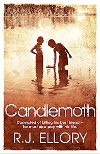 Candlemoth