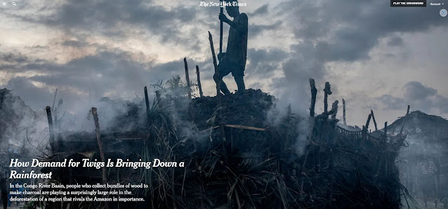 screen shot of NT Times article with photo of man tending kiln for making charcoal