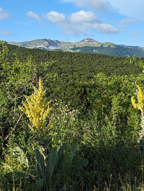 Da Prato Capito panorama sui monti della Duchessa