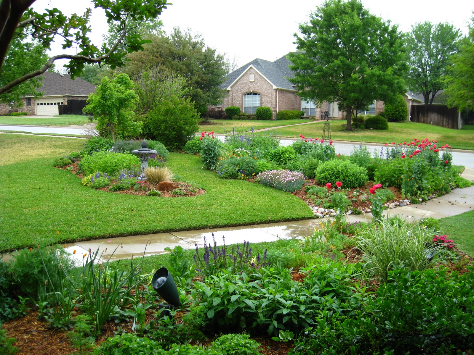 Front Yard Garden Beds