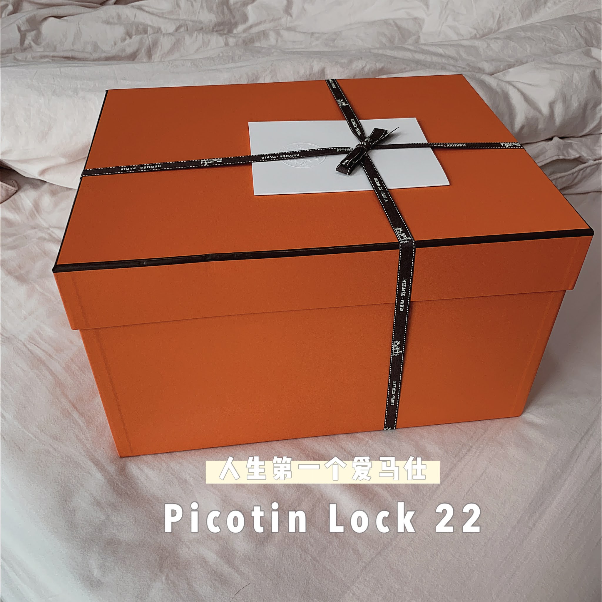 Hermes Picotin Lock 22 etoupe