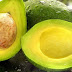 The Benefits of Avocado Oil for Beauty