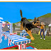 Dog Stunts Sim 3D