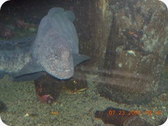DSCN7080