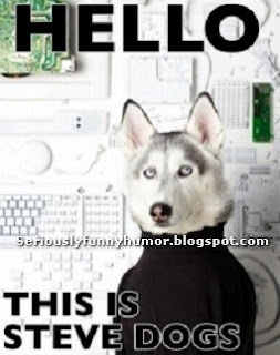 Hello, this is Steve Dogs! Steve Jobs? Funny dog wearing sweater