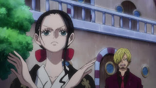 ワンピースアニメ ワノ国編 ロビン ONE PIECE Episode 980