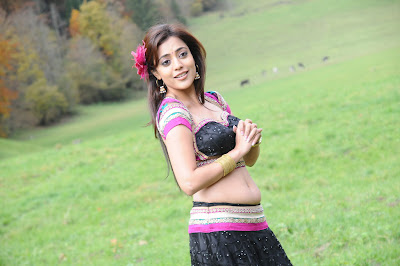 Nisha Agarwal