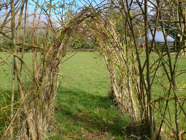 living willow Igloo sculpture kits for schools parks and gardens