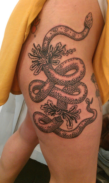 snake; line work; 