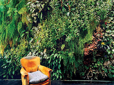 Giải pháp vườn trên tường cho không khí sạch