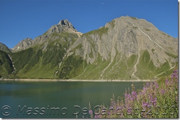 Lago_di_Morasco_fiori