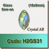 H2GS31 copy