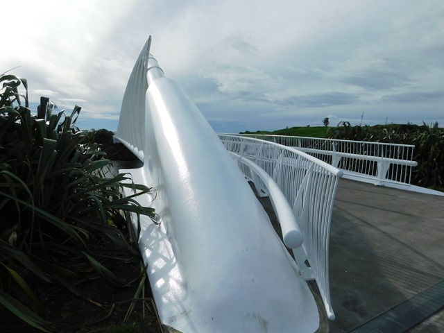 DSCN1224