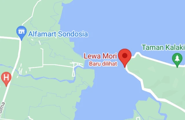 Lewa Mori