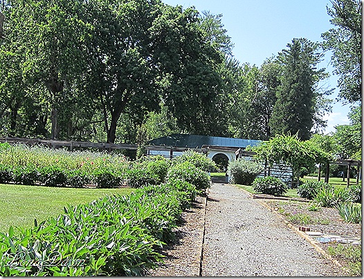 OE_CuttingGardens