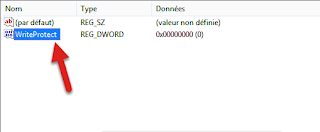 Valeur DWORD 32 bits  WriteProtect