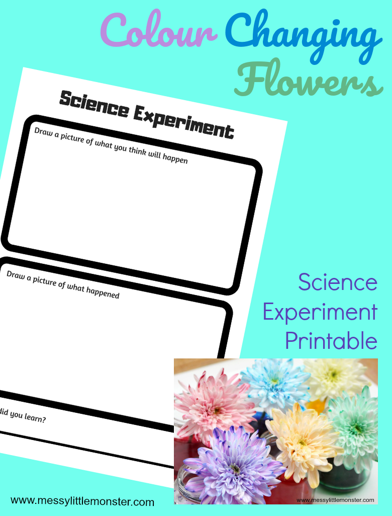 Colour Changing Flowers Science Experiment Printable Worksheet
