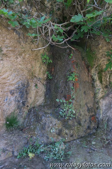 Tajo del Abanico - Encinas Borrachas - rio Audalazar - Alpandeire