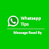 Tips melihat pembaca pesan di grup WhatsApp