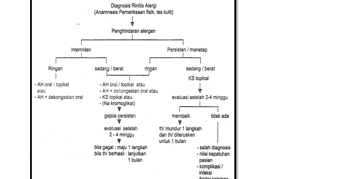 Berbagi Informasi Kedokteran: Rhinitis Alergik