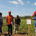 Taller de multiplicación de semilla de maíz Guanape MFE cierra con compromisos de ensemillamiento 