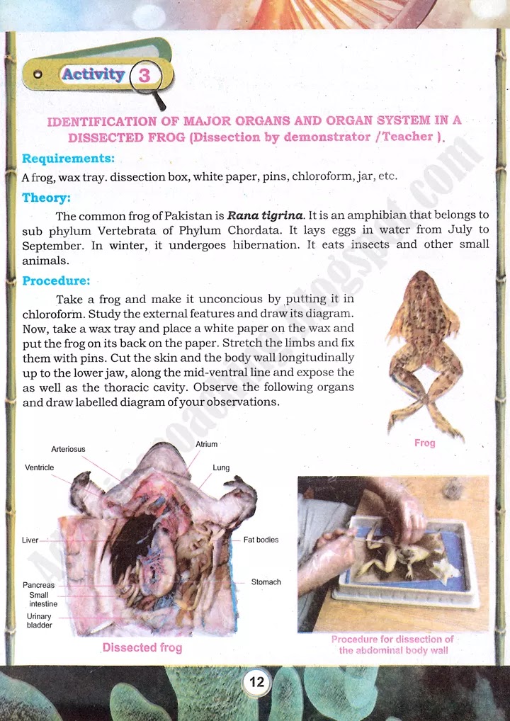 practical-activity-3-frog-dissection-from-journal-of-practical-activities-biology-9th-1