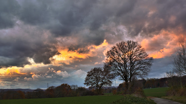 Der Abendhimmel leuchtet von orange bis blau. Im Vordergrund ein großer Baum