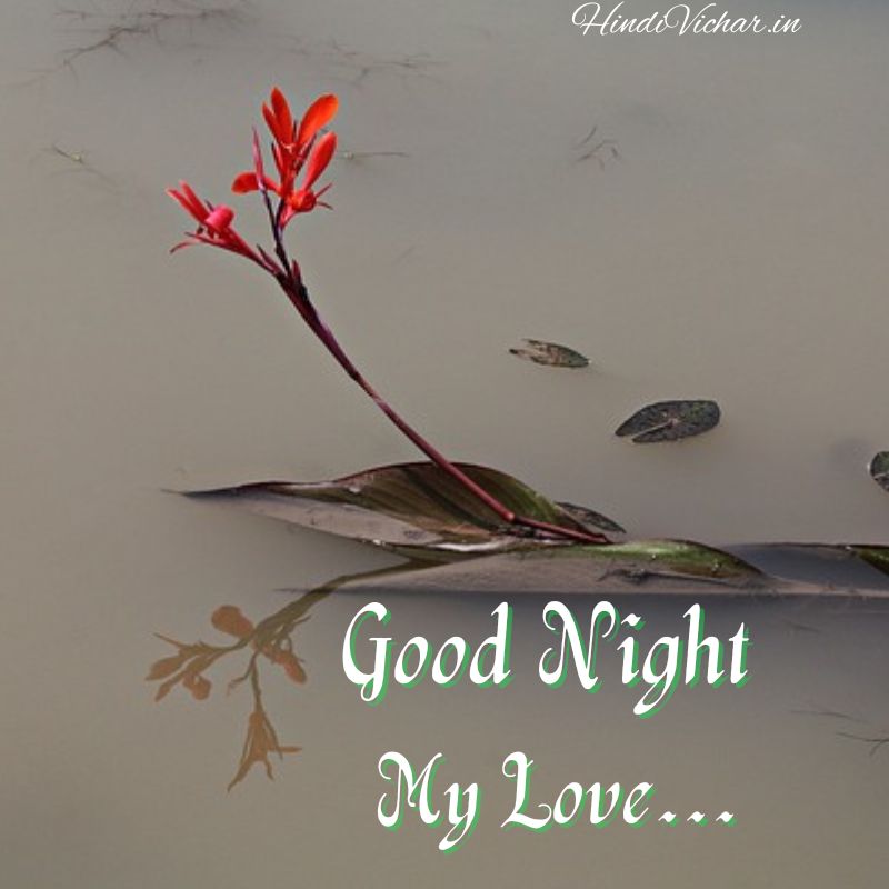 Lovely Good Night My love Images