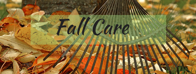 Fall Care for Hostas