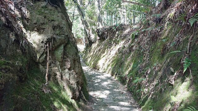 金峰神社(南河内郡千早赤阪村)