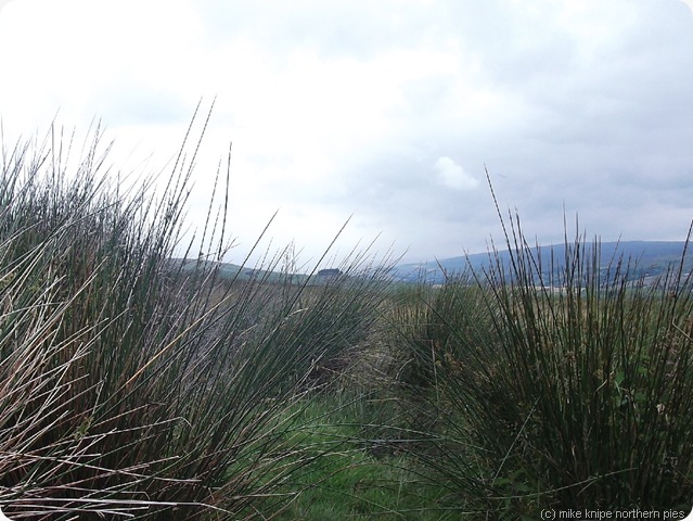 kirkcarrion from romaldkirk moor