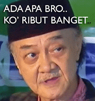 ada pa kok ribut banget