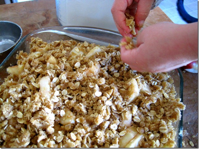 apple crisp 9